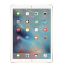 iPad Pro 12.9(2017) 2th Gen Wi-Fi Only 256GB Gold A1670 Excellent Grade( Refurbished )