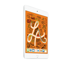 iPad Mini 5 (2019) 7.9" Wi-Fi + Cellular 64GB A2124 Silver A Grade above 80% Battery Health (Refurbished)
